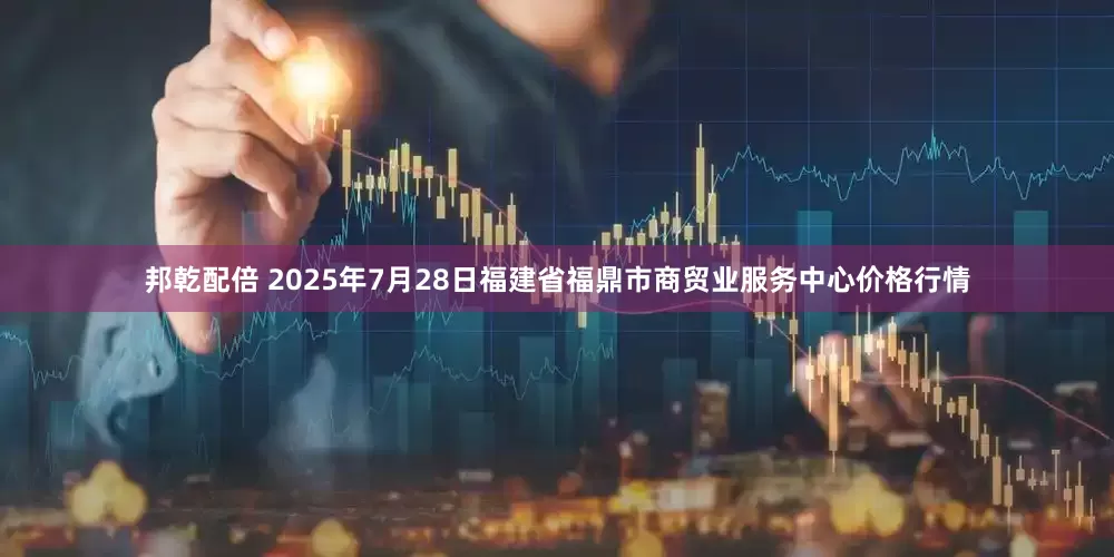 邦乾配倍 2025年7月28日福建省福鼎市商贸业服务中心价格行情