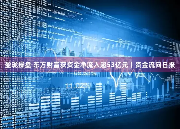盈珑操盘 东方财富获资金净流入超53亿元丨资金流向日报