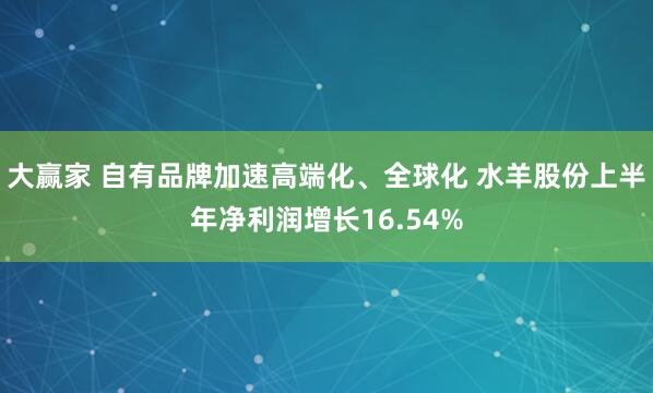 大赢家 自有品牌加速高端化、全球化 水羊股份上半年净利润增长16.54%