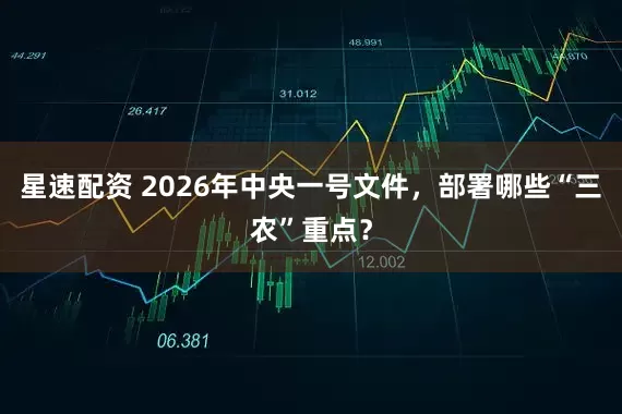 星速配资 2026年中央一号文件，部署哪些“三农”重点？